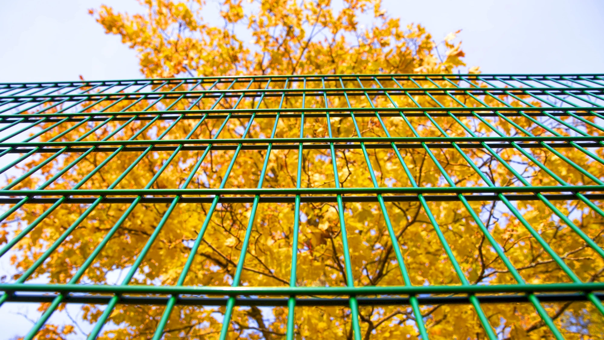 Three-wire fence