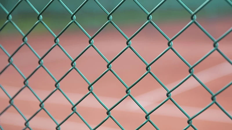 Green PVC coated chain link fencing.
