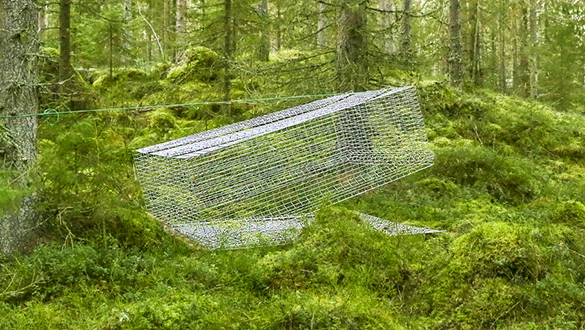 KaNu trap - a live trap for animals