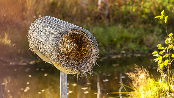 Nesting tube for Mallards and ducks