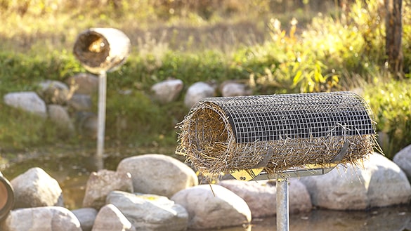 Location and Installation